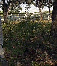Shelton’s Bear Creek Cemetery