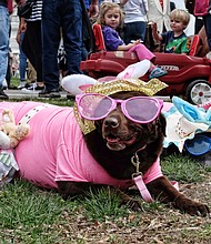 A couple of well-dressed pooches, left, take a break in their Easter bonnets and matching sunglasses and bunny ears. The annual event also features a pet bonnet showcase.
