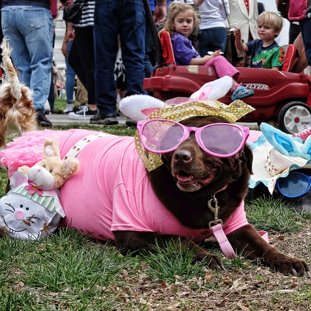 A couple of well-dressed pooches, left, take a break in their Easter bonnets and matching sunglasses and bunny ears. The annual event also features a pet bonnet showcase.

