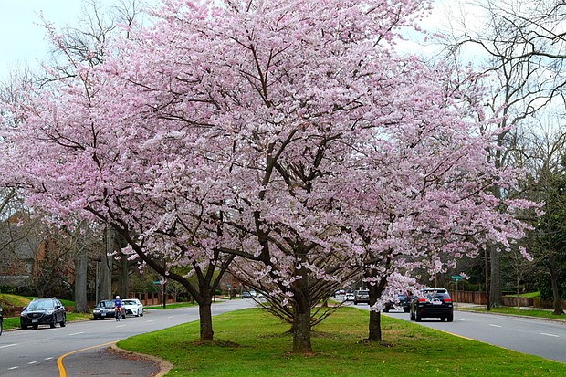 Signs of spring in the West End