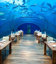 "We are excited to present Muraka's unique sleeping under the sea experience to our future guests, providing them with an extraordinary seascape of the Maldives from an entirely new perspective," says a spokesperson for Conrad Maldives Rangali Island.