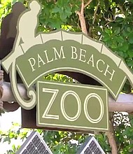  Two specially modified shotguns and ammunition were stolen from Palm Beach Zoo sometime late Wednesday or early Thursday morning./
Source:	WPTV