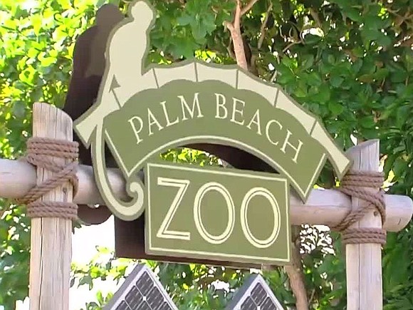 Two specially modified shotguns and ammunition were stolen from Palm Beach Zoo sometime late Wednesday or early Thursday morning.