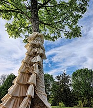 Cityscape //
Slices of life and scenes in Richmond

Call it the latest fashion for trees. This designer skirt now decorating a tree at Maymont in the West End is the product of a sophomore draping class at Virginia Commonwealth University. This is one of the trees students in the class outfitted in completing their final project. Along with creating a new look, the students were required to use materials that could withstand sun, rain, wind and other weather conditions. 