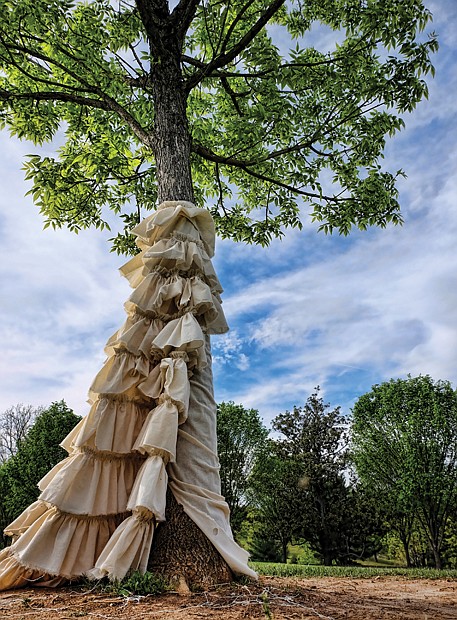 Cityscape //
Slices of life and scenes in Richmond

Call it the latest fashion for trees. This designer skirt now decorating a tree at Maymont in the West End is the product of a sophomore draping class at Virginia Commonwealth University. This is one of the trees students in the class outfitted in completing their final project. Along with creating a new look, the students were required to use materials that could withstand sun, rain, wind and other weather conditions. 