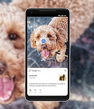 Google showed off on Tuesday a first look at its next mobile software.