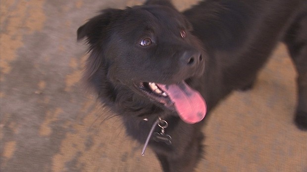 What began as a Sunday afternoon enjoying the dog days of summer at the Becerra house in Mesa changed in an instant.