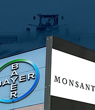 The Department of Justice has approved a multi-billion dollar merger between Bayer and Monsanto that will create one of the world's largest agrichemical companies.