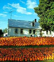 The Vermont government has pledged to pay some lucky American citizens up to $10,000 to up sticks to the stunning Green Mountain State.
