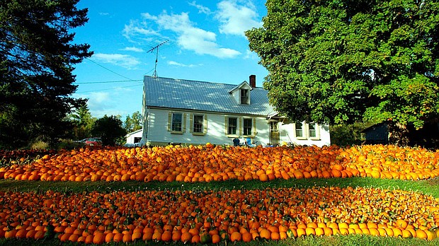 The Vermont government has pledged to pay some lucky American citizens up to $10,000 to up sticks to the stunning Green Mountain State.