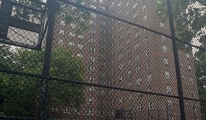 St. Nicholas Houses/NYCHA