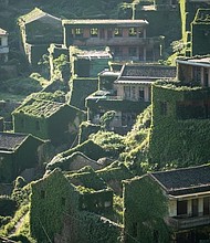 Houtouwan, once the most prosperous fishing village on Shengshan Island, has been reclaimed by nature after being deserted for almost two decades.