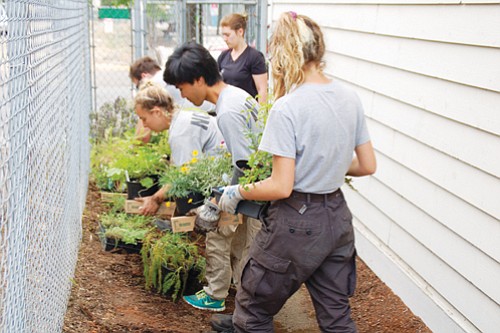 A nonprofit in northeast Portland is hosting 12 AmeriCorps volunteers this summer to protect vital affordable housing by upgrading homes ... A nonprofit in northeast Portland is hosting 12 AmeriCorps volunteers this summer to protect vital affordable housing by upgrading homes ...
