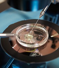 The world's first in-vitro fertilization baby was born in 1978 in the UK. Since then, 8 million babies have been born worldwide as a result of IVF and other advanced fertility treatments, an international committee estimates.