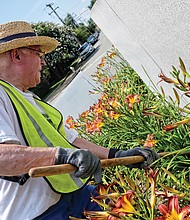 CITYSCAPE-Slices of life and scenes in Richmond-
Volunteers from the Richmond Tennis Association add touches of color, including their own green thumbs, to the Arthur Ashe Monument at Monument and Roseneath avenues in Richmond’s West End. Joe Grover cleans a bed of bright lilies. This is the fourth year that the association has conducted the beautification project.