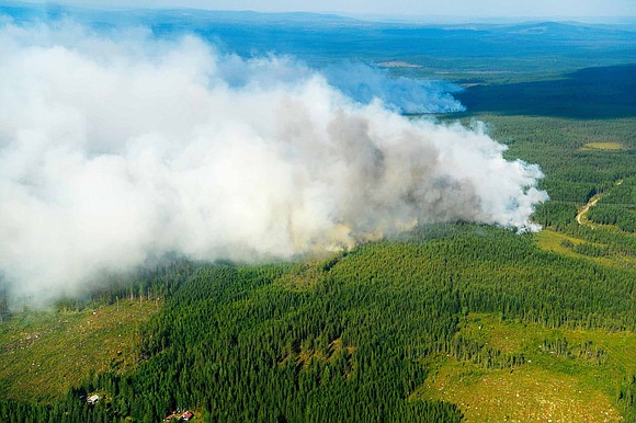 Nearly 100 people were forced to leave their homes overnight in Sweden, emergency officials said Thursday, as dozens of forest …