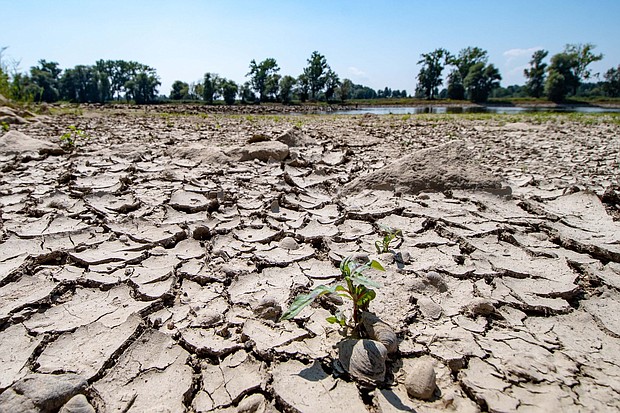 	The partly dried-out bed of the River Danube is pictured in Mariaposching, southern Germany, on Wednesday.