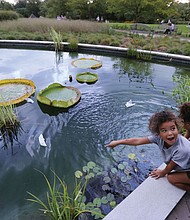 Devon Bryant, 5, left, and her 3-year-old sister, Myka, excitedly show their parents, Nora and Anthony Bryant, how their origami boats float on the lily pond at Lewis Ginter Botanical Garden in Henrico County. The family was enjoying the garden’s flower-filled pathways Monday.
