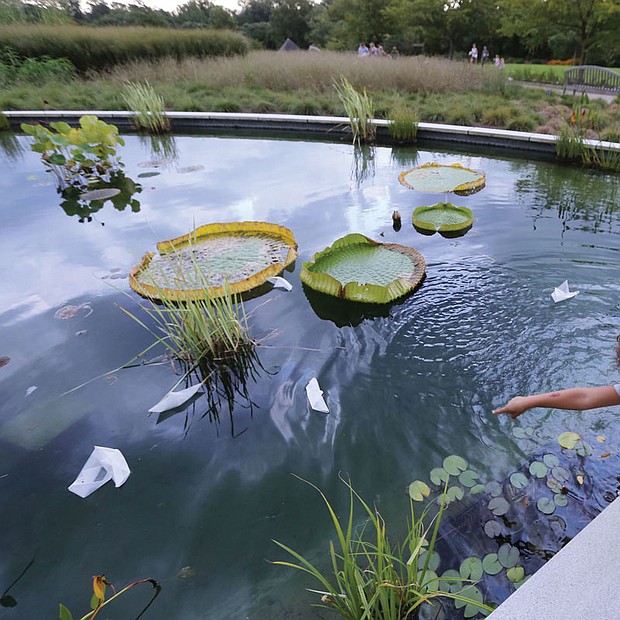 Devon Bryant, 5, left, and her 3-year-old sister, Myka, excitedly show their parents, Nora and Anthony Bryant, how their origami boats float on the lily pond at Lewis Ginter Botanical Garden in Henrico County. The family was enjoying the garden’s flower-filled pathways Monday.
