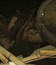 UNC students knock down Silent Sam Confederate statue