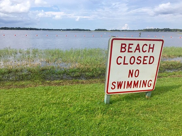 A woman was attacked by an alligator on Wednesday while she was swimming in a lake in Citrus County, according to the Florida Fish and Wildlife Commission.
