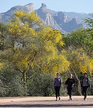 Canyon Ranch's Tucson branch offers executives not only a full medical work-up but opportunities for better fitness and nutrition.