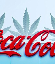 Coca-Cola is considering a move into the growing market for cannabis-infused drinks.