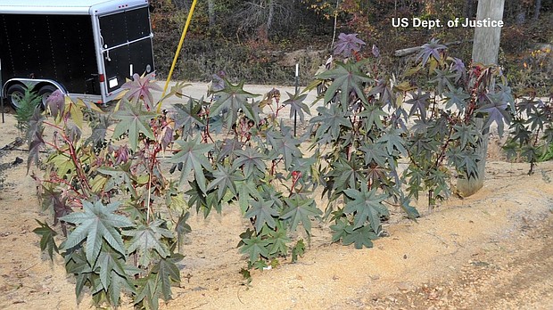 A piece of mail delivered to the Pentagon mail facility has initially tested positive for ricin, according to two US defense officials.