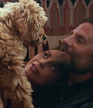 Ally (Lady Gaga) and Jackson (Bradley Cooper) get a dog in "A Star is Born." Cooper, the film's director, cast his own dog, Charlie, to play the adult version of the pup.