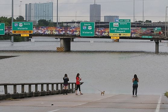 Floods from Hurricane Harvey severely impacted the The S.P.C.A. of Brazoria County.