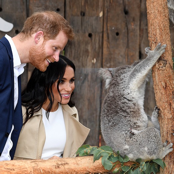 Prince Harry and his wife, Meghan, the Duchess of Sussex are expecting. The news set Twitter alight Monday as Kensington ...
