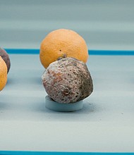 The company turns the oil from fruits and vegetables into a colorless, odorless, tasteless powder to preserve its longevity.