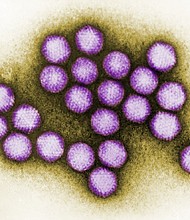 Adenoviruses can cause mild to severe illness.