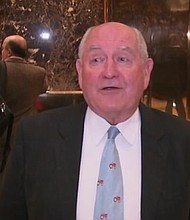 Agriculture Secretary Sonny Perdue described the stakes of the Florida governor's election next week as being "cotton-pickin' important" at a campaign event on Saturday for Republican Ron DeSantis.