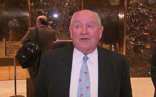 Agriculture Secretary Sonny Perdue described the stakes of the Florida governor's election next week as being "cotton-pickin' important" at a campaign event on Saturday for Republican Ron DeSantis.