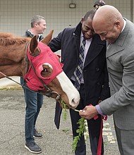 Mayor Levar M. Stoney, left, and City Councilman Michael J. Jones feed a racehorse at Wednesday’s groundbreaking for Rosie’s, a new off-track betting parlor at the former K-Mart building at 6807 Midlothian Turnpike in South Side.