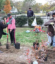 Volunteers plant pear trees and berries last week in a new orchard and garden at Faith Community Baptist Church on Cool Lane in the East End.