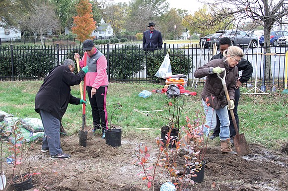 Volunteers planted fruit trees and raspberries and blackberries last week on part of the lawn at Faith Community Baptist Church ...