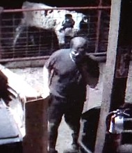 Surveillance image of the suspect.
