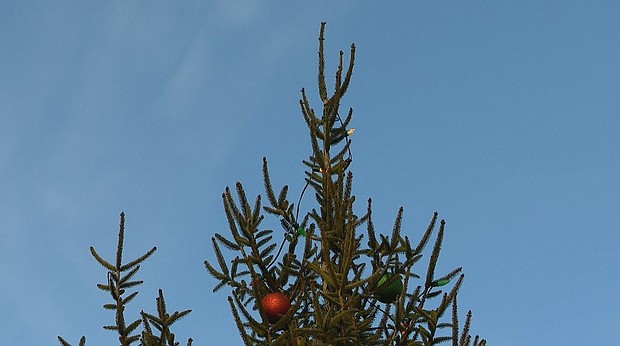 Dozens protested the removal of a cross Christmas tree topper from the town's community tree.