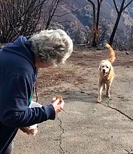 Madison reunites Friday with his owner, Andrea Gaylord.