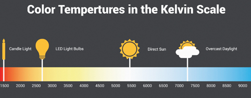 Understanding Light Color | The Portland Observer