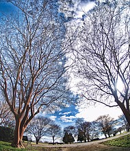 Winter sky in East End (Sandra Sellars/Richmond Free Press)