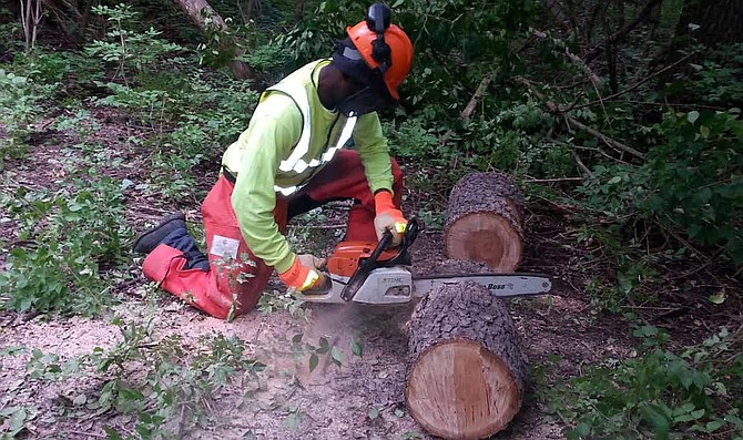 Greencorps Chicago, a paid green-industry job training program, is currently recruiting for their 2019 class. Photo Credit: Greencorps Chicago