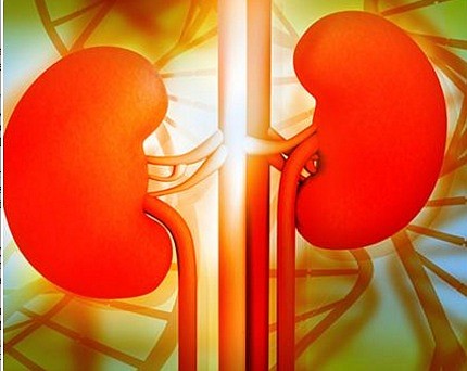A team of five researchers published a new study in the American Journal of Kidney Diseases(AJKD) that suggests kidney health …