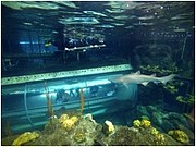 Florida Aquarium