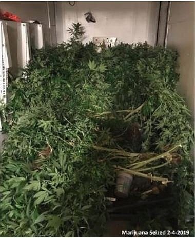 An investigation by Yancey County authorities leads investigators to an elaborate hydroponic growing operation.