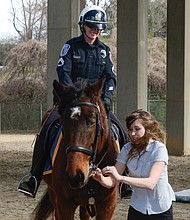 Whoa, Aslan!-Tori Branard makes a final adjustment to Aslan’s bridle at the Feb. 7 badging ceremony inducting the horse into the Richmond Police Department’s Mounted Unit. As a student at Asbury University’s unique Service Mounts Program in Kentucky, Ms. Branard spent three years training Aslan, a Percheron-thoroughbred cross. Watching is Aslan’s amused partner, Master Patrol Officer Amanda Acuff. Aslan is the fourth horse in the unit and is a replacement for Rio, who was retired in December. The others are Samson, Scooter and Toby. The horses live in a condemned stable near Gilpin Court. The police department is seeking other sources of funding for a new facility after recent bids to replace the current stable came in $1 million over budget. (Clement Britt)