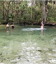 Hunter Springs Kayak