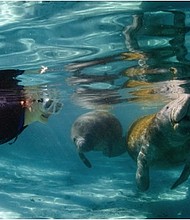 Plantation Adventure Center